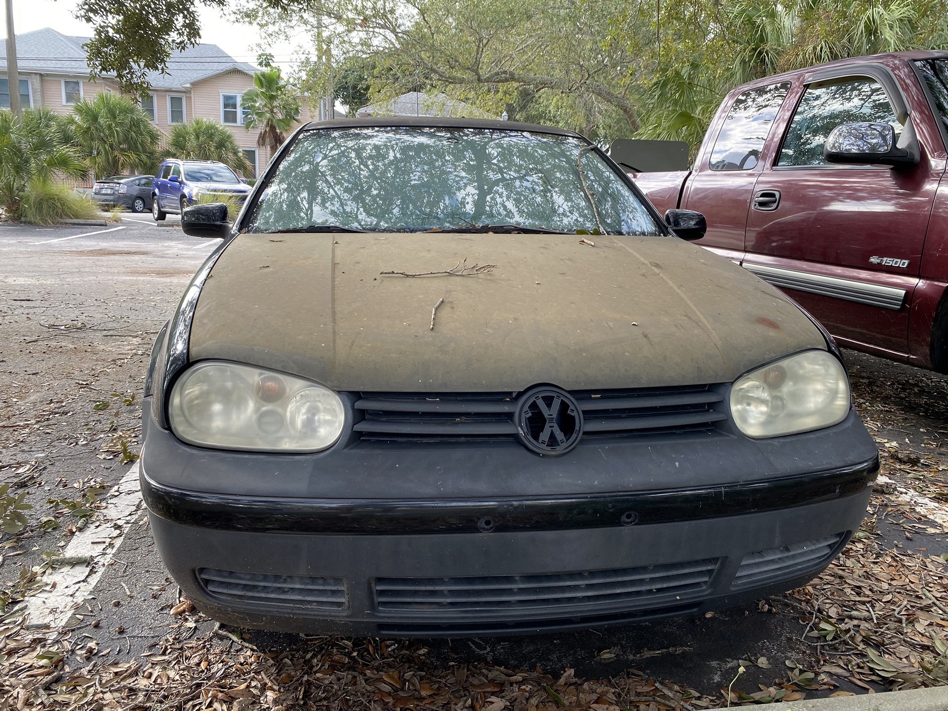 Tampa Palms Car Salvage