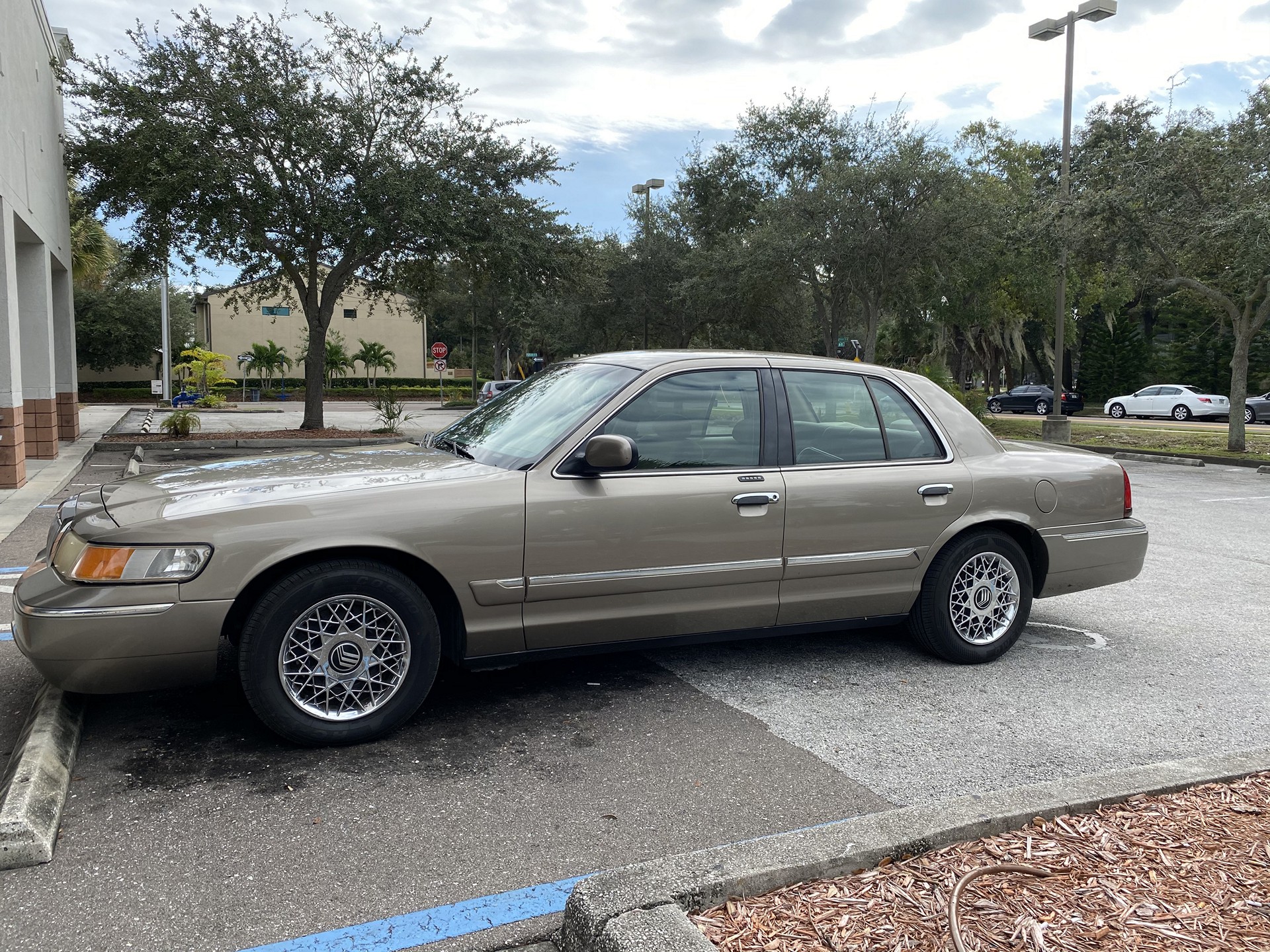 We Pick Up Junk Trucks In Tampa Palms