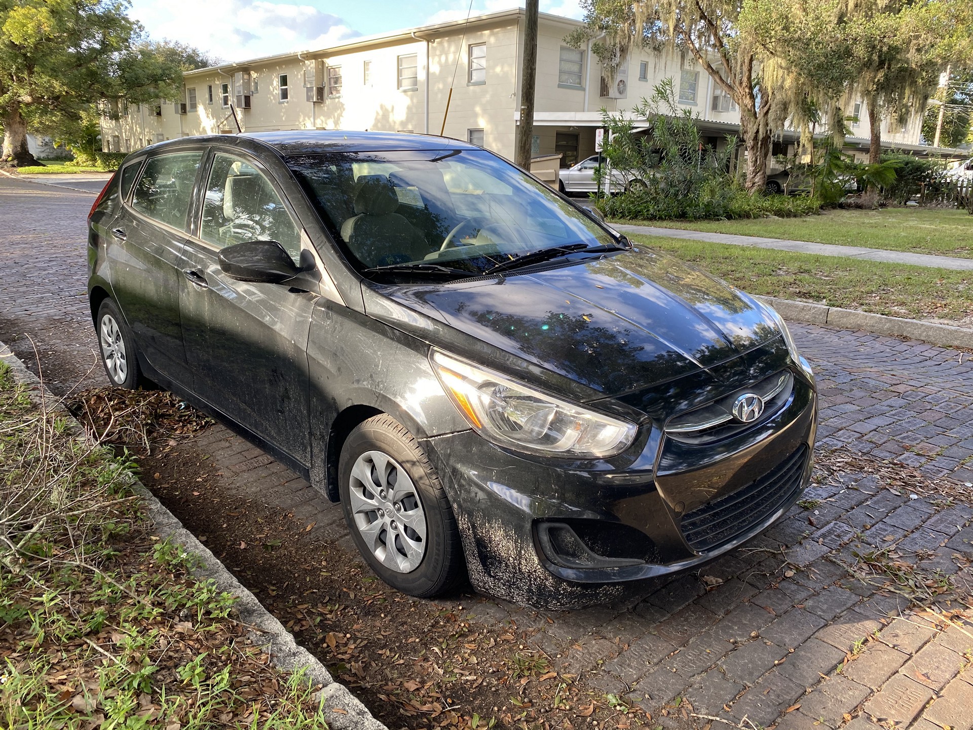 Orangetree Car Salvage