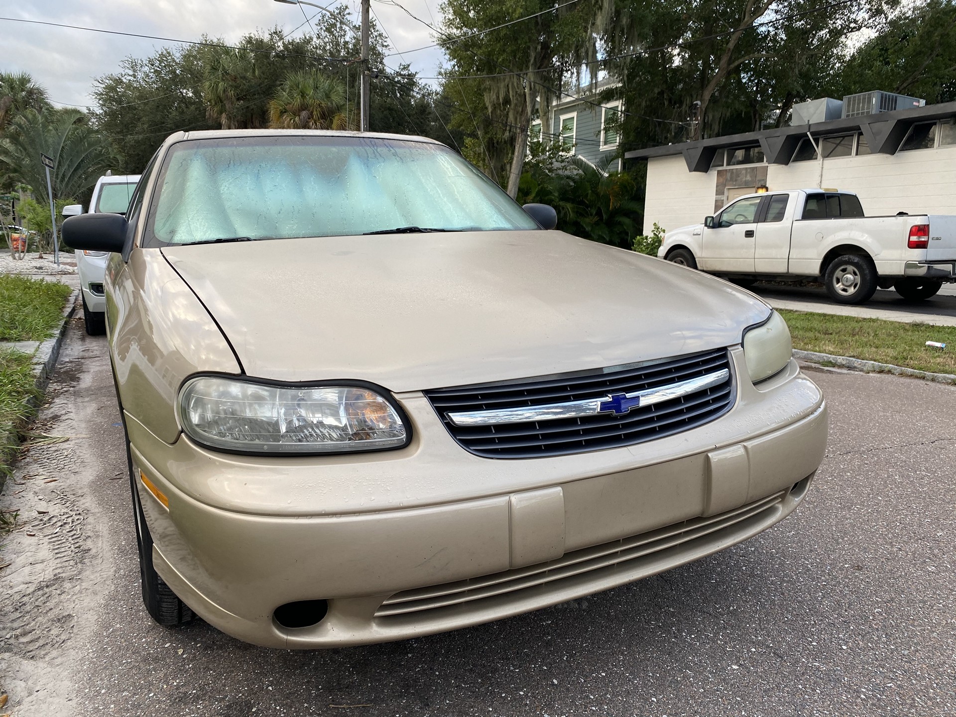 Sell Your Truck In Wauchula